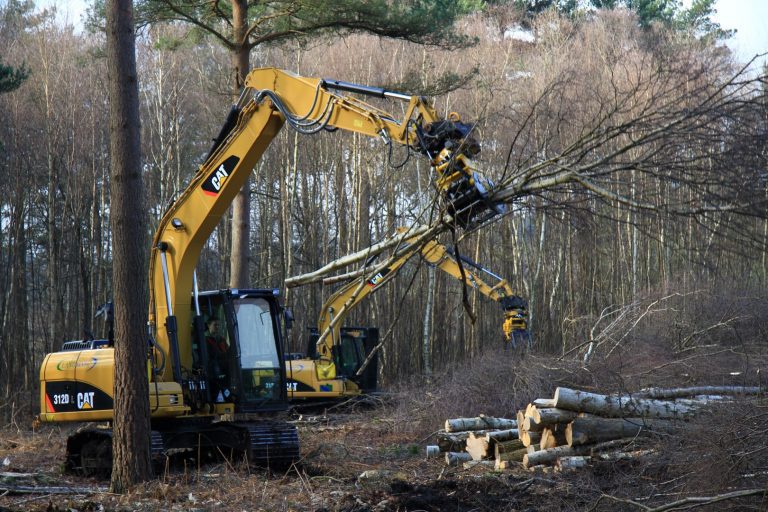 Sunningdale Heathland Restoration