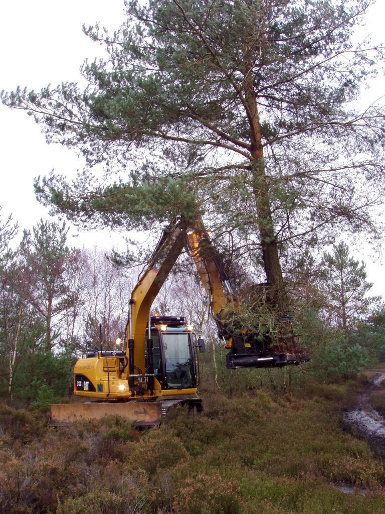 Tree Removal Tree Grab