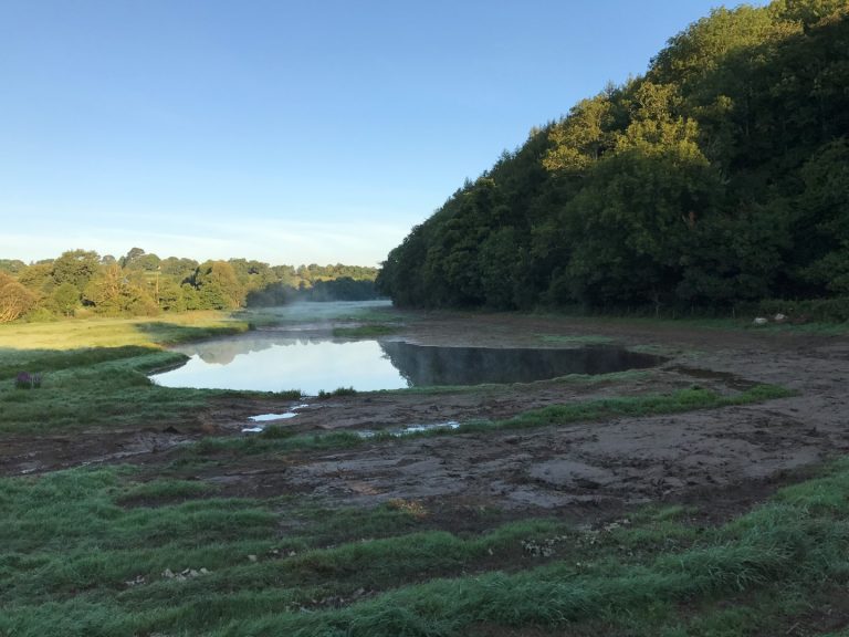 Dartington wetland creation