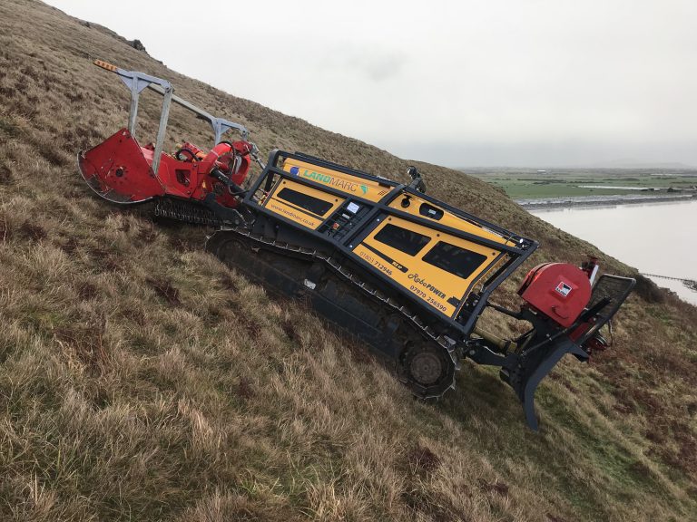 Scrub Clearance