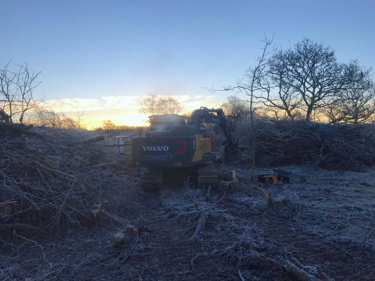 Forestry Clearing Equipment & Machinery