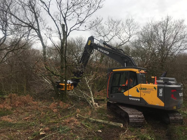 Forestry Clearing Equipment & Machinery