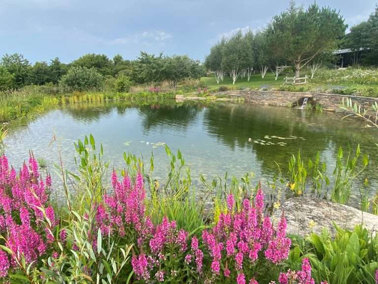averton gifford pool design consultancy
