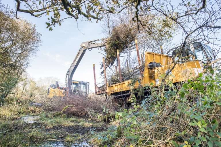 Cornwall Wildlife Trust - Heathland Restoration