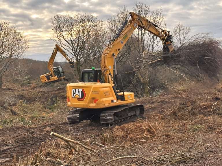 Vegetation Tree Clearance By Two CAT 309 Excavators
