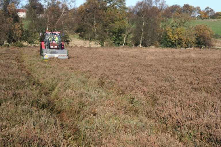 Heather Harvesting With Tractor & Brush Cutter