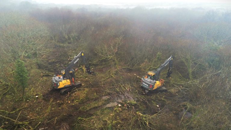 Heathland Restoration Tree Removal
