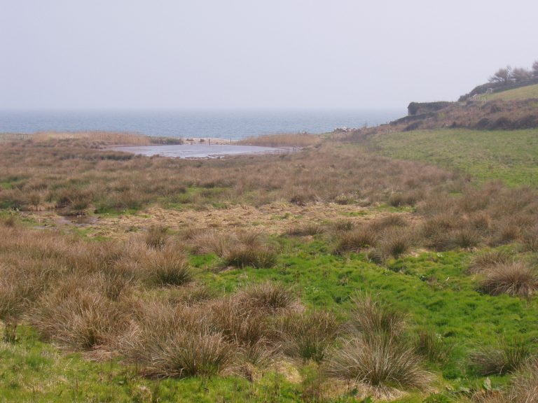 Mansands Wetland
