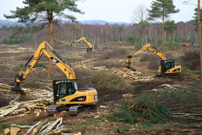 Operated Plant Hire - Forestry