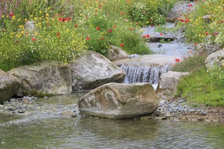 Discover expert Wetland Creation with Landmarc. Enhance biodiversity, improve water quality, and support sustainable habitats.