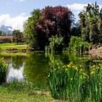 Garden landscape. Panoramic wiev. Beautiful Garden with pond.