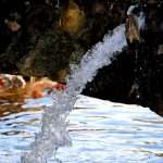Water is life - water pouring out of a pipe - fresh, clean water