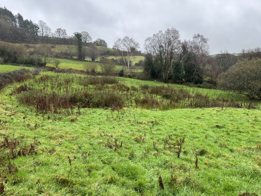 Field before pool construction