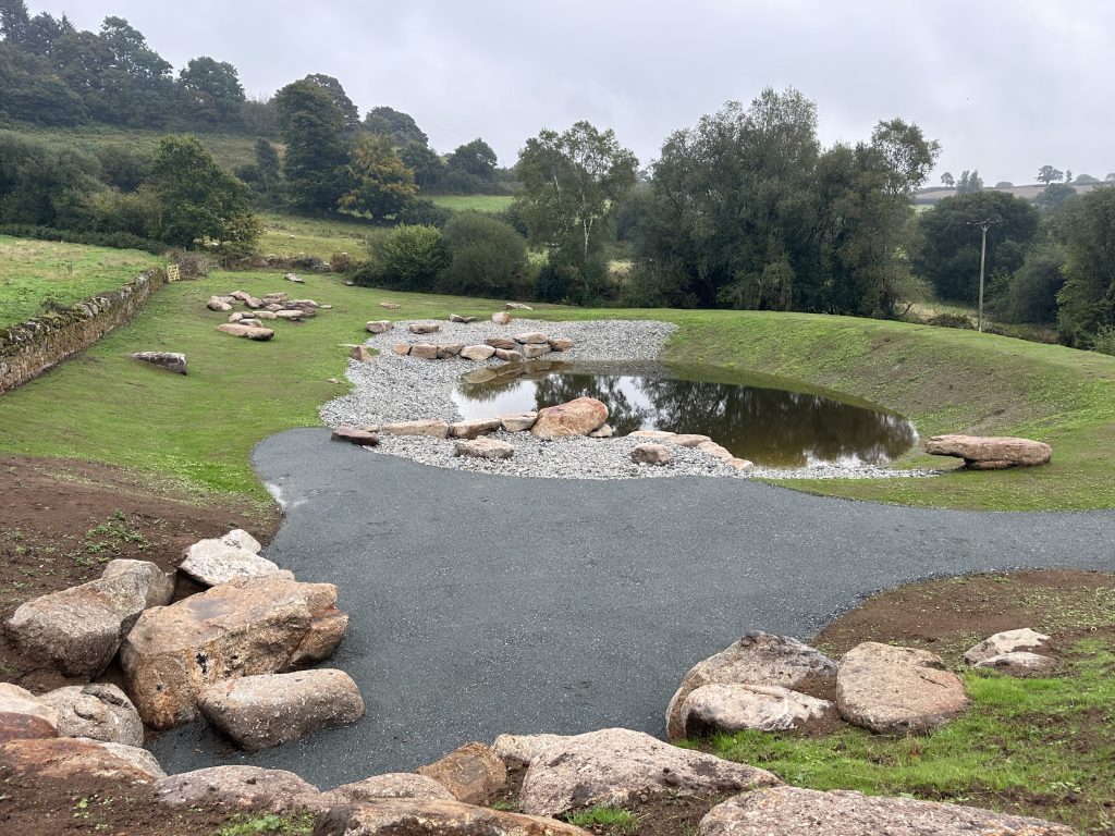 Wildlife pool filling with water
