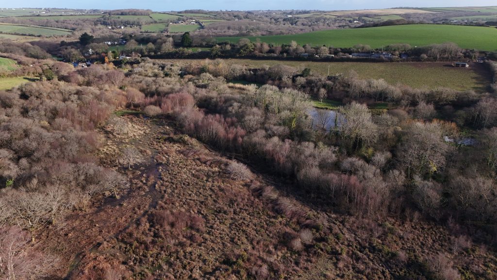 Scrub clearance in Cornwall