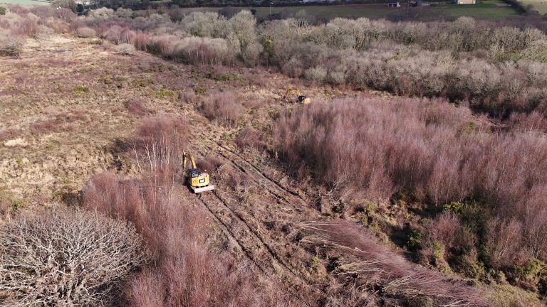 CAT excavator working on habitat restoration