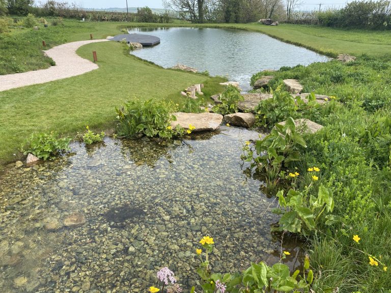 Create stunning natural pools with Landmarc. Sustainable, designs that enhance biodiversity and natural beauty.