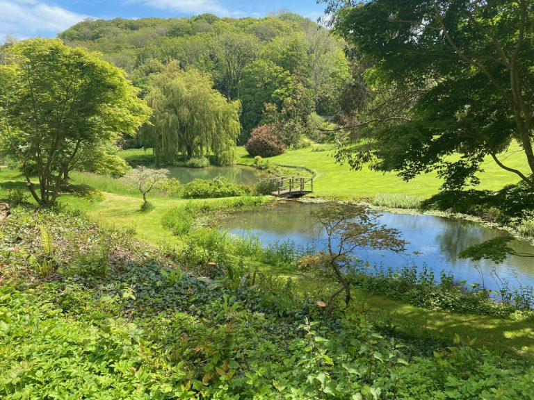 Natural Pool with Bridge