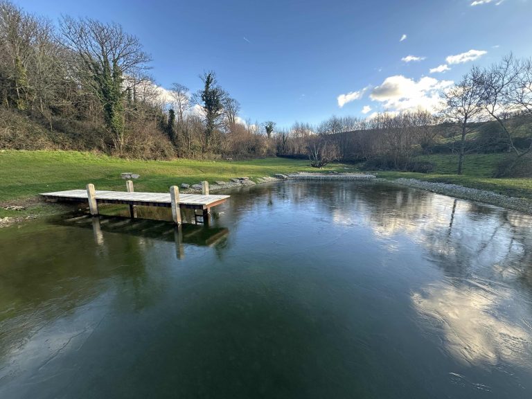 Landmarc creates eco-friendly natural swimming pools, offering a chemical-free swimming experience that blends with nature.
