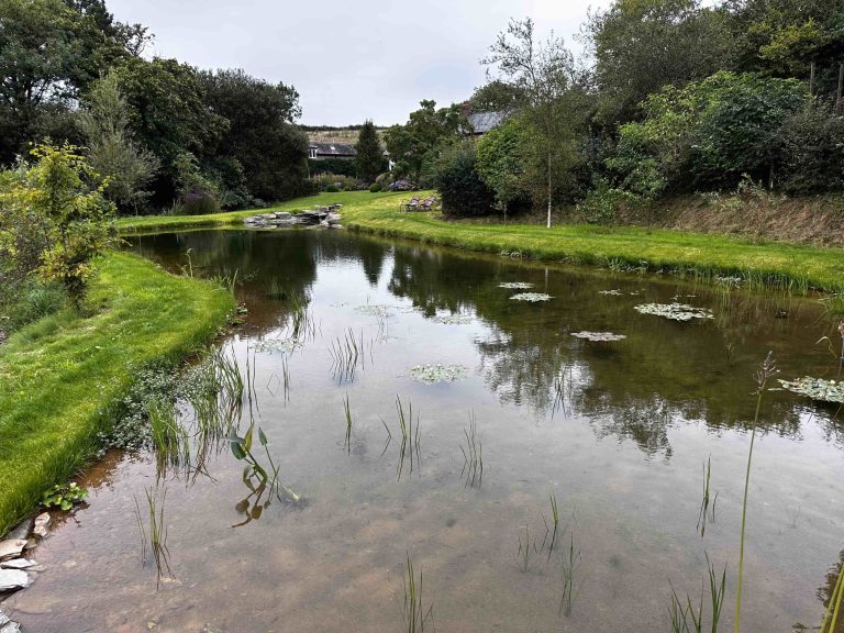 Create stunning natural pools with Landmarc. Sustainable, designs that enhance biodiversity and natural beauty.
