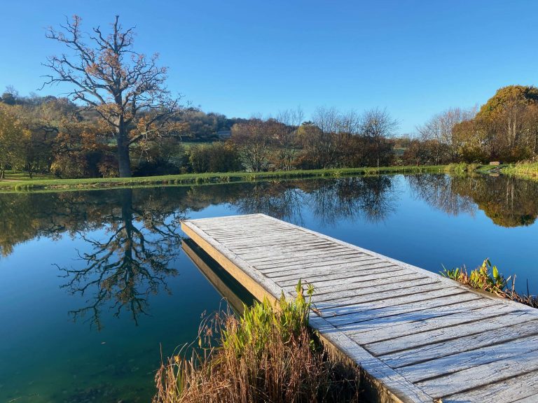 Landmarc creates eco-friendly natural swimming pools, offering a chemical-free swimming experience that blends with nature.