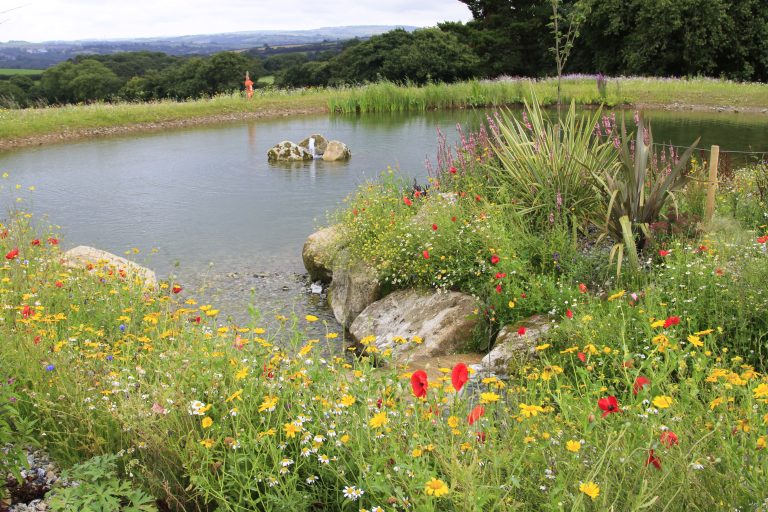 Discover expert Wetland Creation with Landmarc. Enhance biodiversity, improve water quality, and support sustainable habitats.