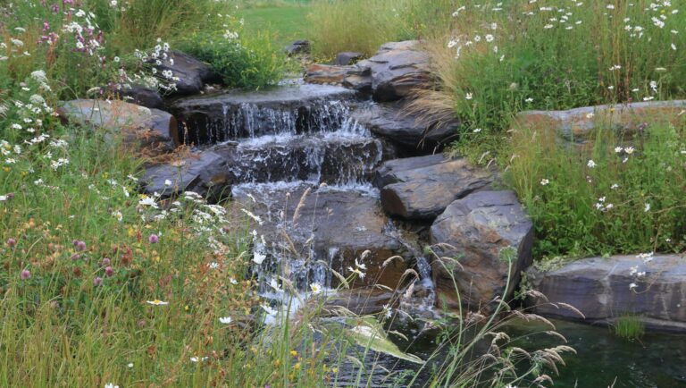 Riverbank erosion and solutions in Devon