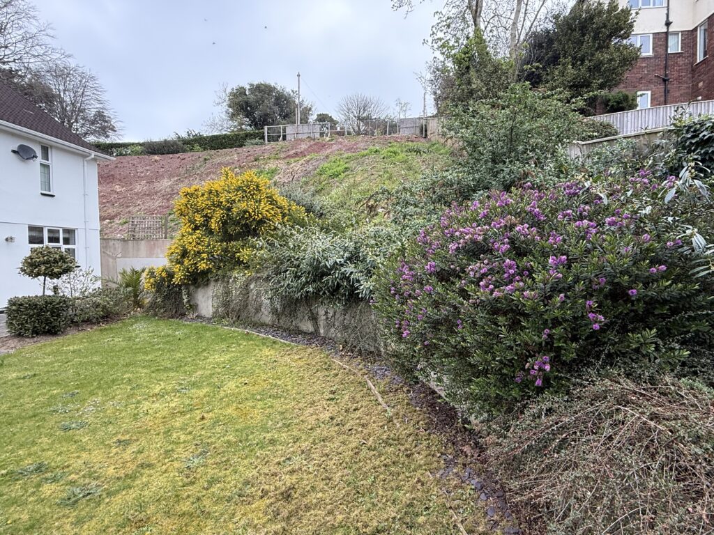 Garden renovation lower level before