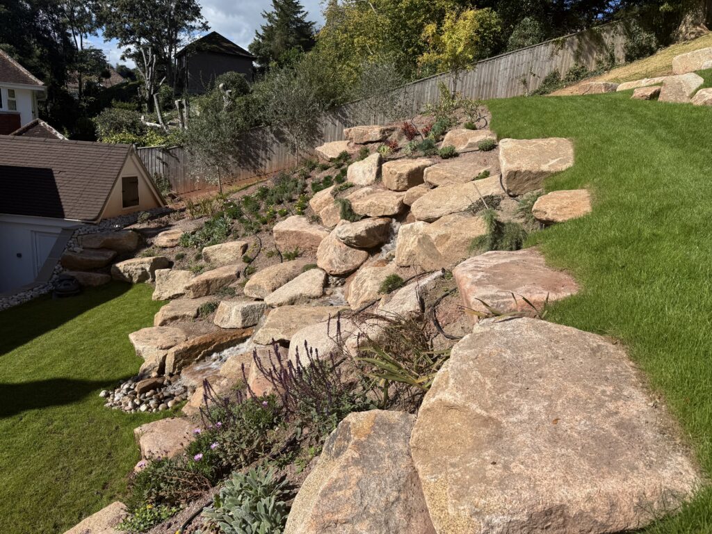 Beautiful planting in Torquay