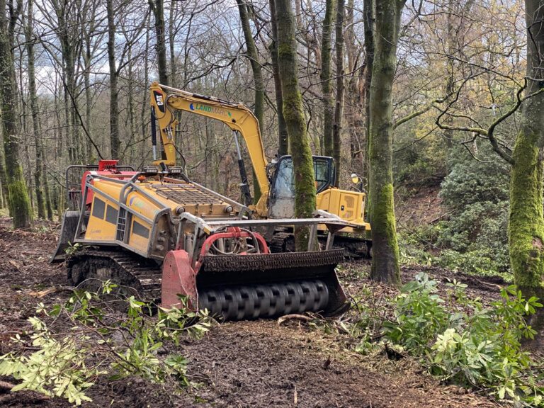 Forestry Clearing Equipment & Machinery