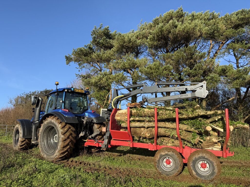 Tree removal works carried out with minimal disturbance to surrounding woodland.