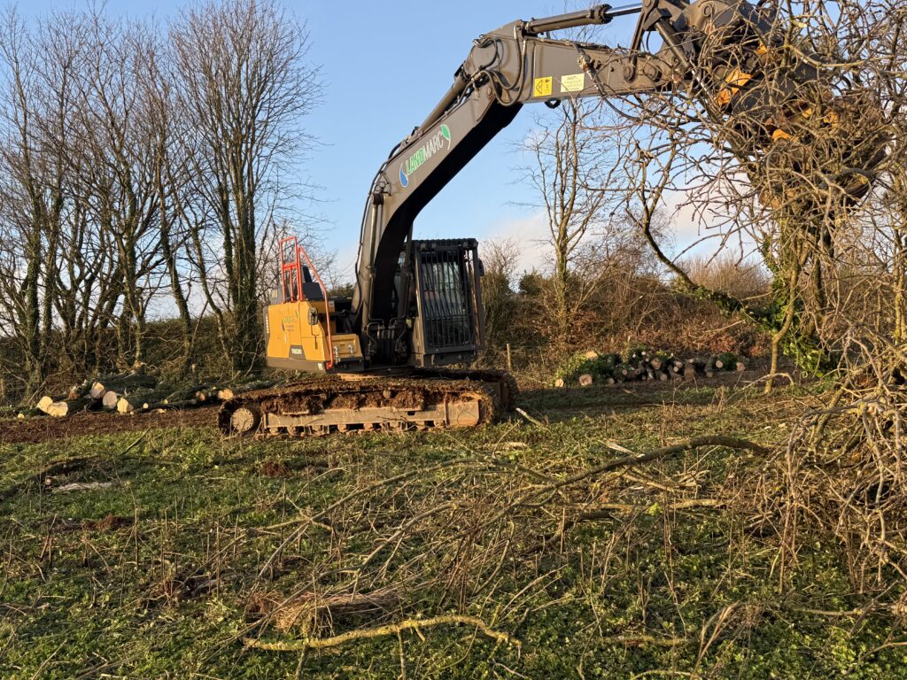 Neatly stacked brash along a woodland edge following tree felling operations