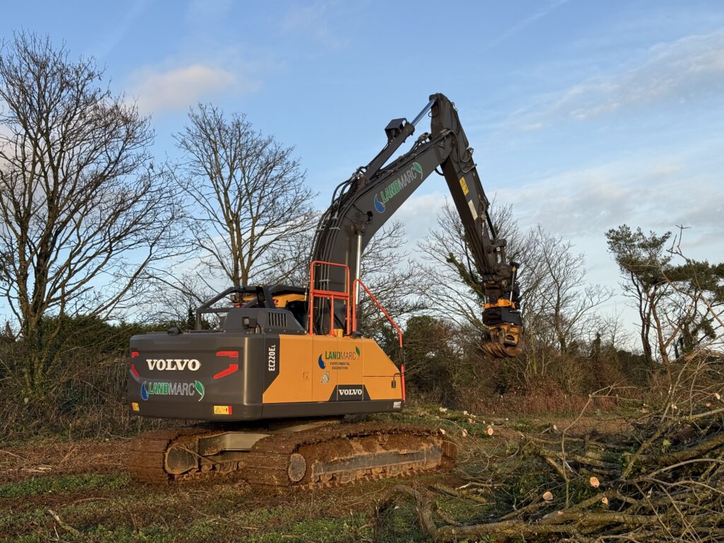 Completed tree safety works along the boundary between National Trust land and a caravan park
