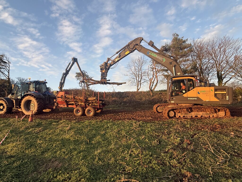 Tractor and timber forwarding trailer extracting ash timber from woodland.