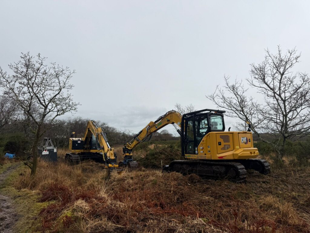 Revisiting Cornwall Wildlife Trust reserves for winter scrub clearance