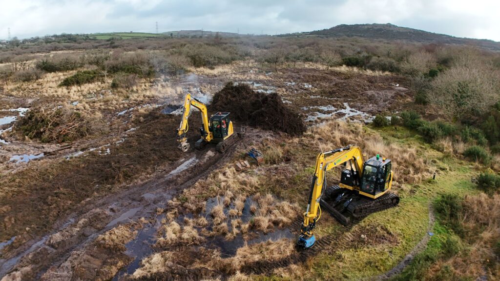 Revisiting Cornwall Wildlife Trust reserves for winter scrub clearance