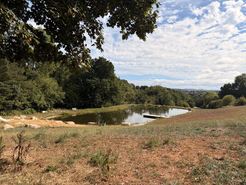 Landmarc Wildlife Pool Completed in the Dartmoor Landscape