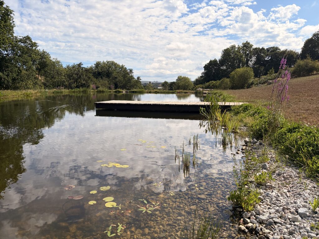 Completed Wildlife Pool on Dartmoor