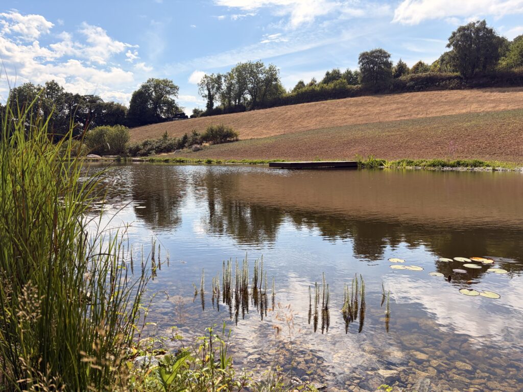 Natural Swimming Pond Landscape on Dartmoor
