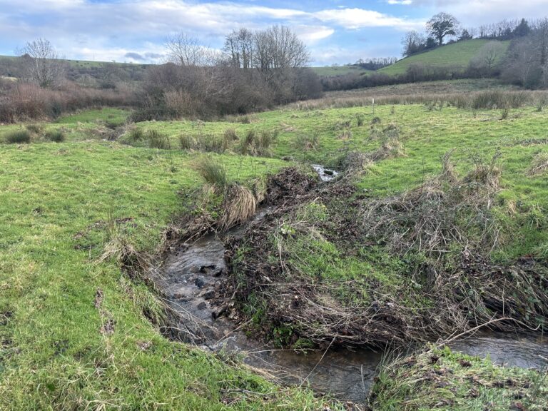 Natural Flood Management - deep ditch creation for field water runoff